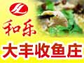 和樂(lè)大豐收魚(yú)莊