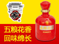 五糧國(guó)窖