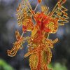 小糖人智能糖畫機(jī)