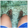 艾尚魚(yú)氧吧魚(yú)療館-親親魚(yú)療