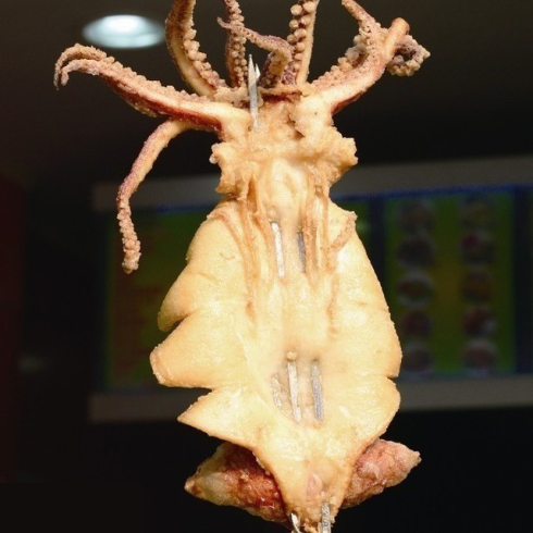 耍大牌煎炸魷魚(yú)