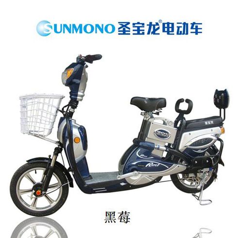 圣寶龍電動(dòng)車(chē)產(chǎn)品-圣寶龍黑莓電動(dòng)車(chē)