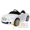 新寵兒童車產(chǎn)品-電機(jī)驅(qū)動(dòng)玩具車
