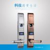 第吉爾防盜門(mén)指紋鎖