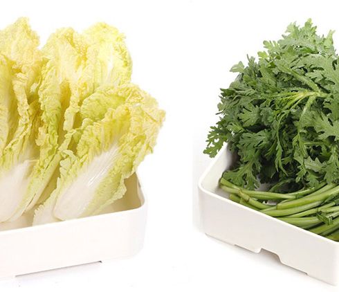 悟空惠達(dá)-蔬菜類